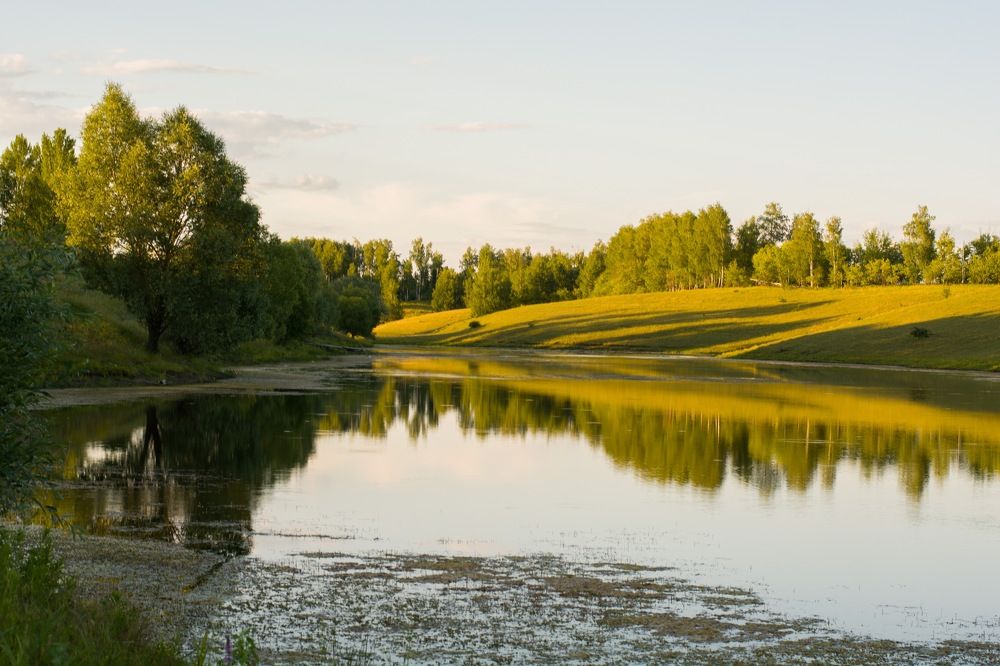 Фотография автора Наталья Жигунова