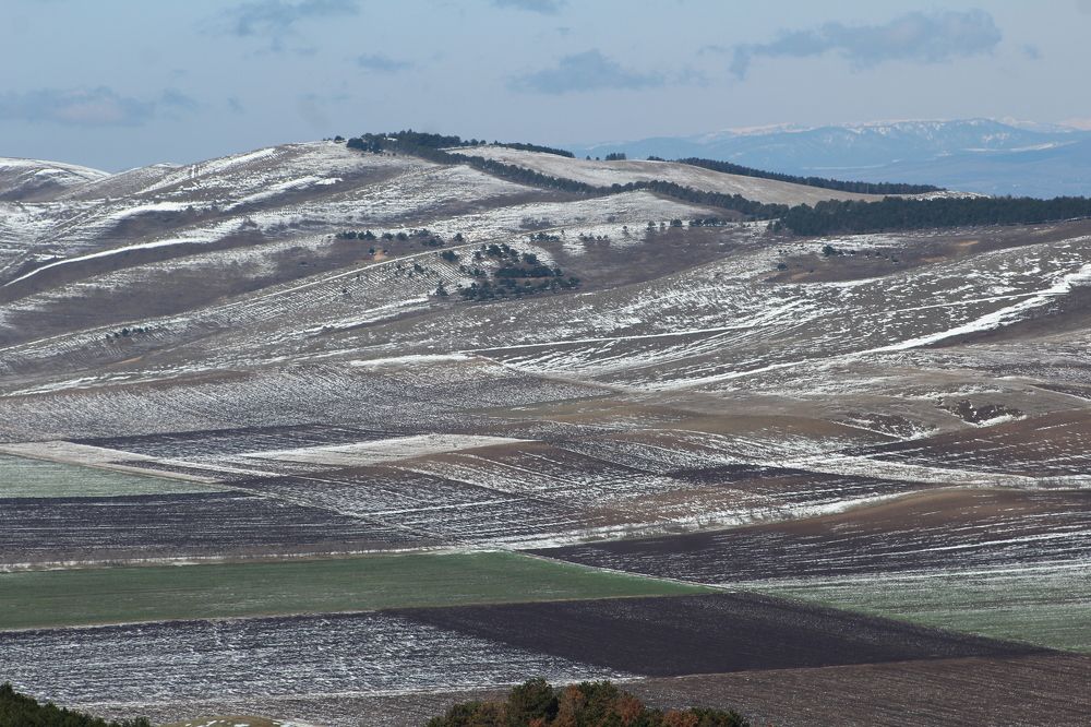 Фотография автора Mariami Sanishvili
