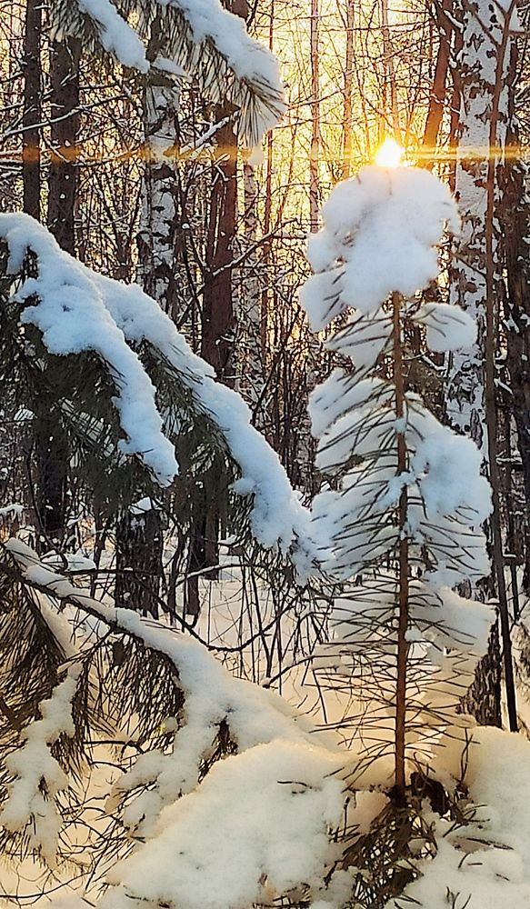 Photograph by Татьяна Гулакова