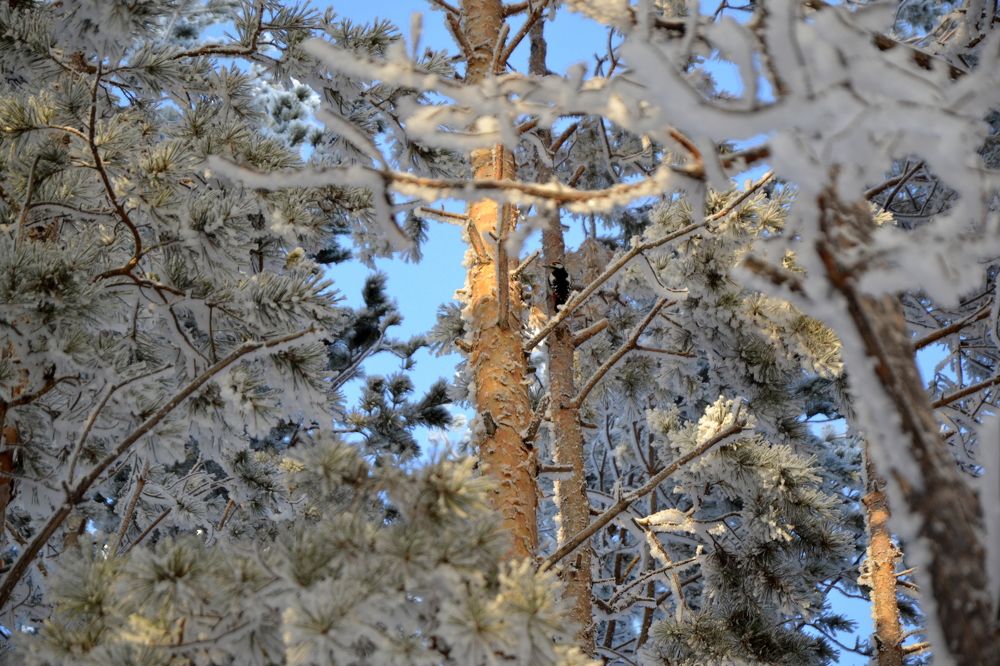 Photograph by Марина Данилюк