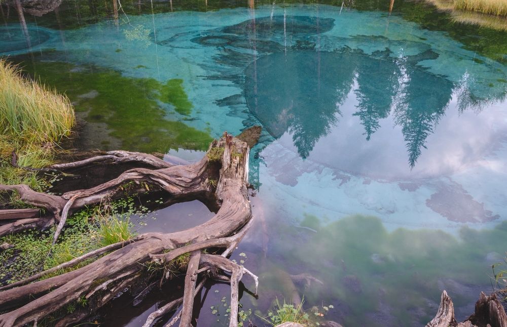 Photograph by Наталья Сафонова