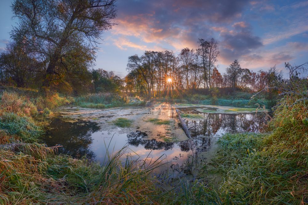 Photograph by Konstantin Voronov