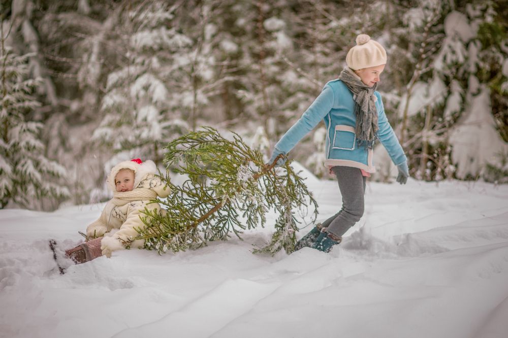 Photograph by Ekaterina Berendykhina
