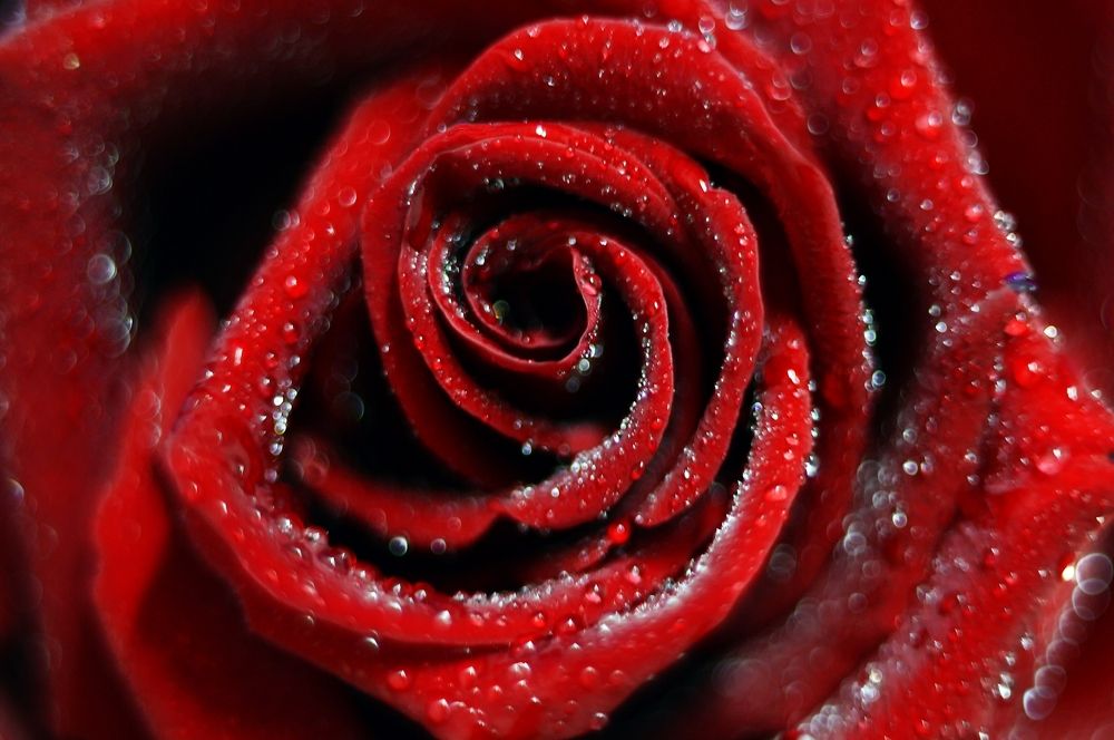 Photograph by Nadezhda