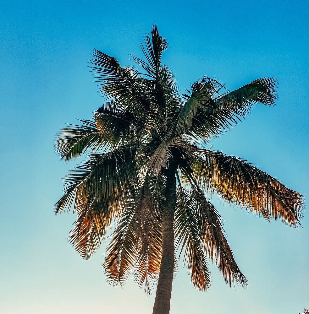 Photograph by Rajath Amith Deshpande