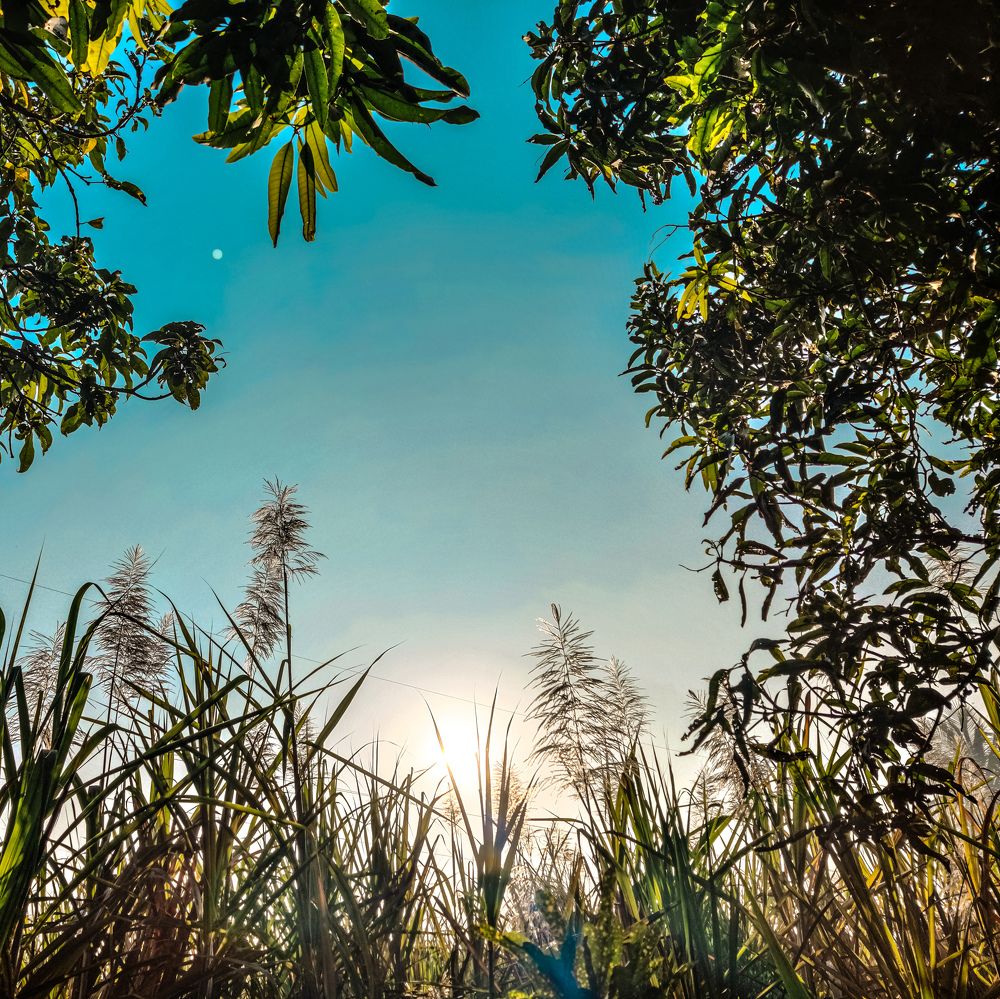Photograph by Rajath Amith Deshpande