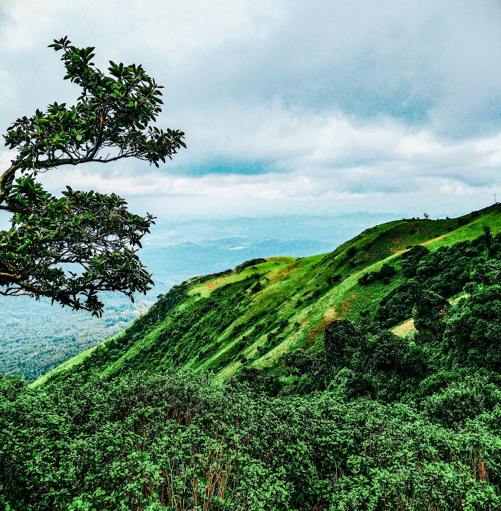 Photograph by Rajath Amith Deshpande