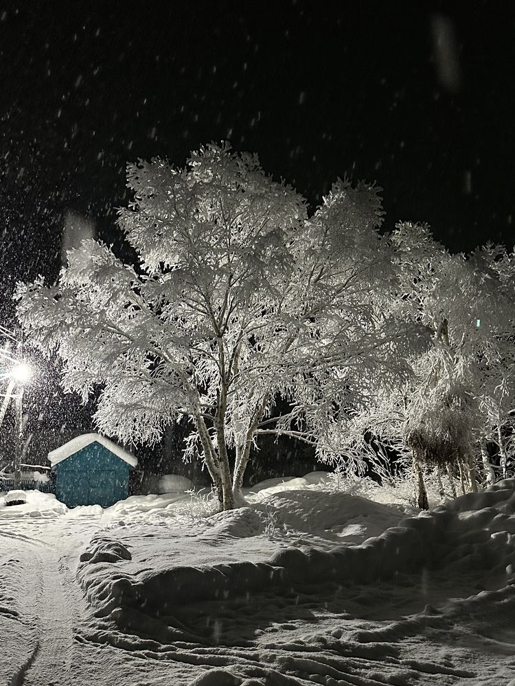 Photograph by Dmitriy Marchenko