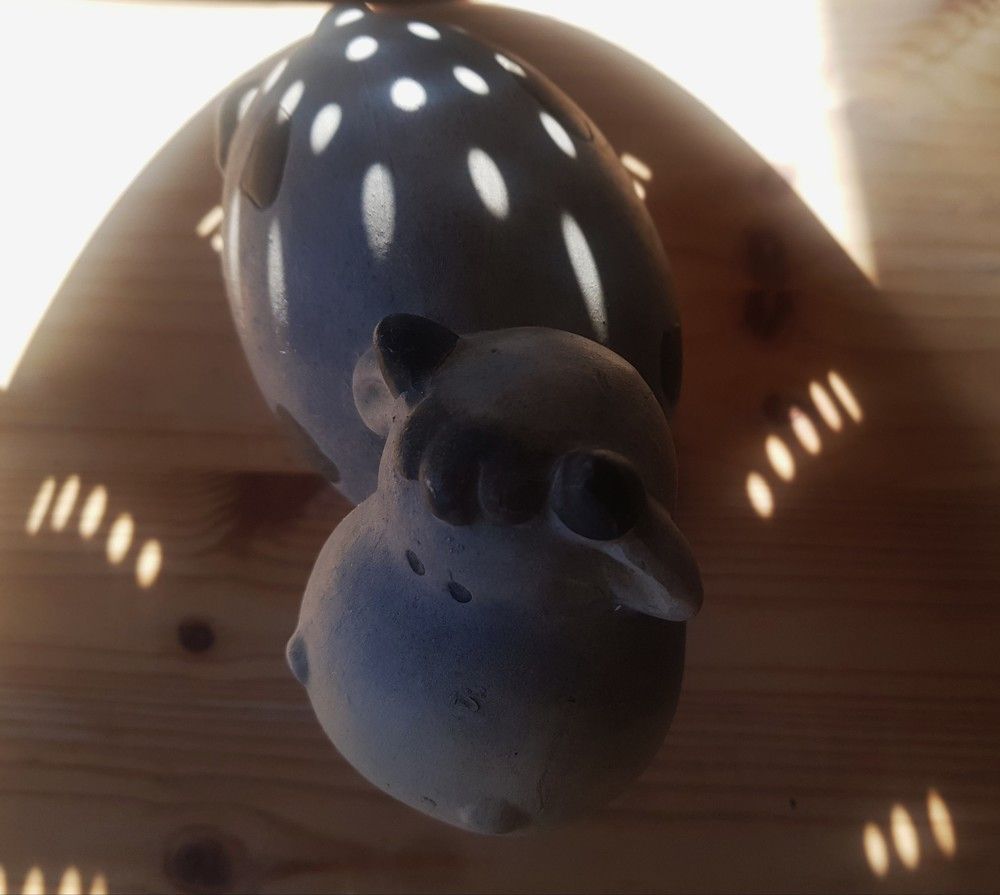 Photograph by Merav Zuberman Perkal