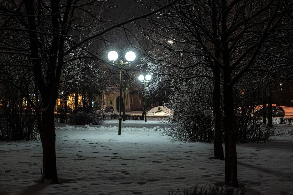 Photograph by наталья залогина