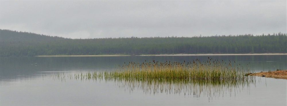 Photograph by Ирина Ахбаш