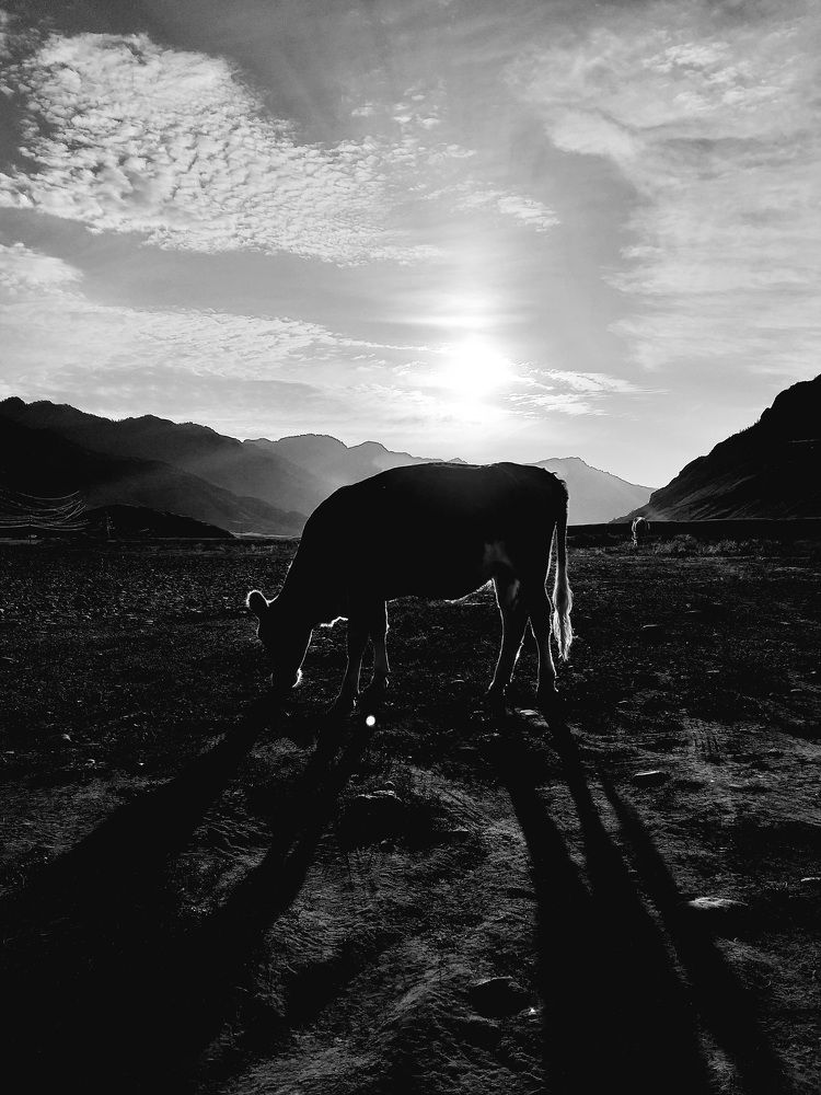 Photograph by Pavel Vorobev