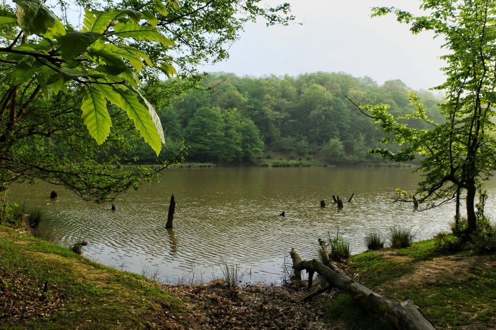 Photograph by Masoumeh Rahimi