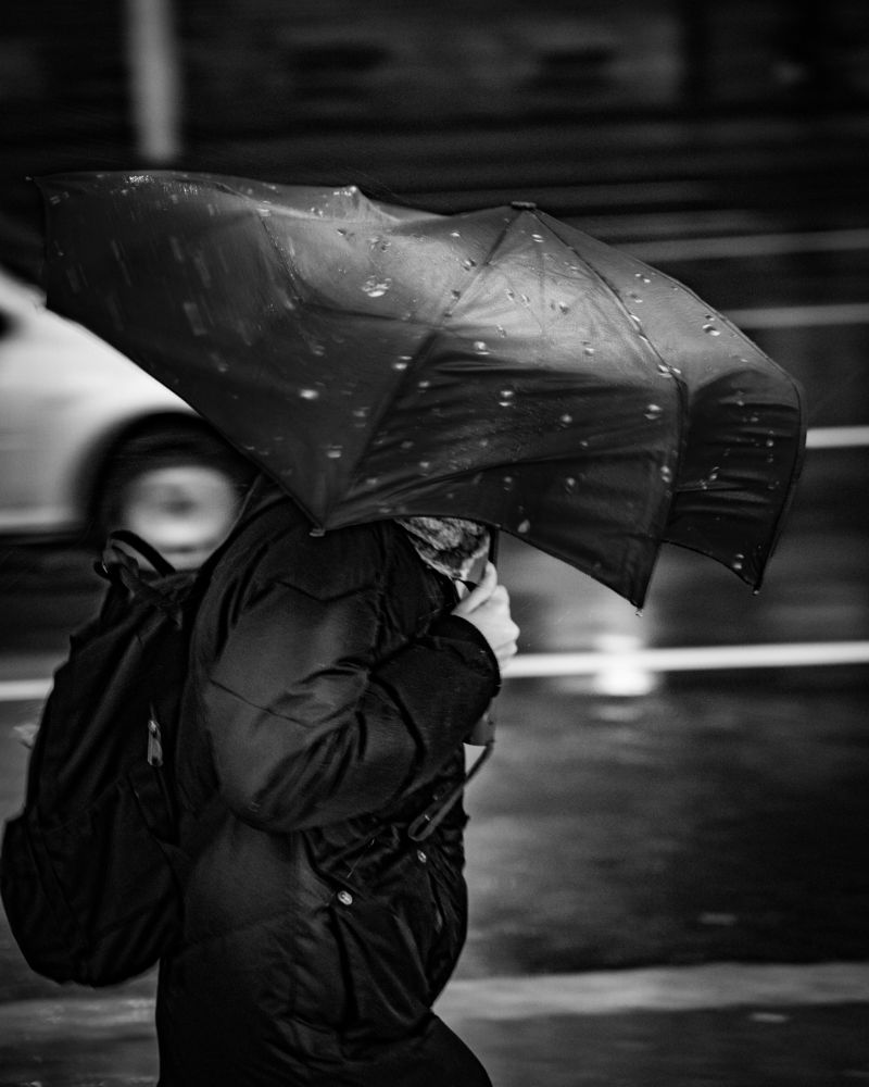 Photograph by Лапшин Алексей