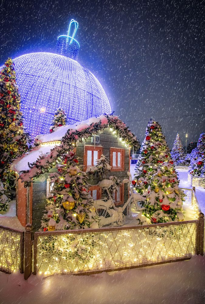 Сказочный лес