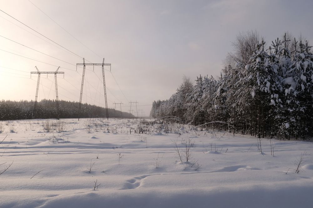 Photograph by Семен Батов