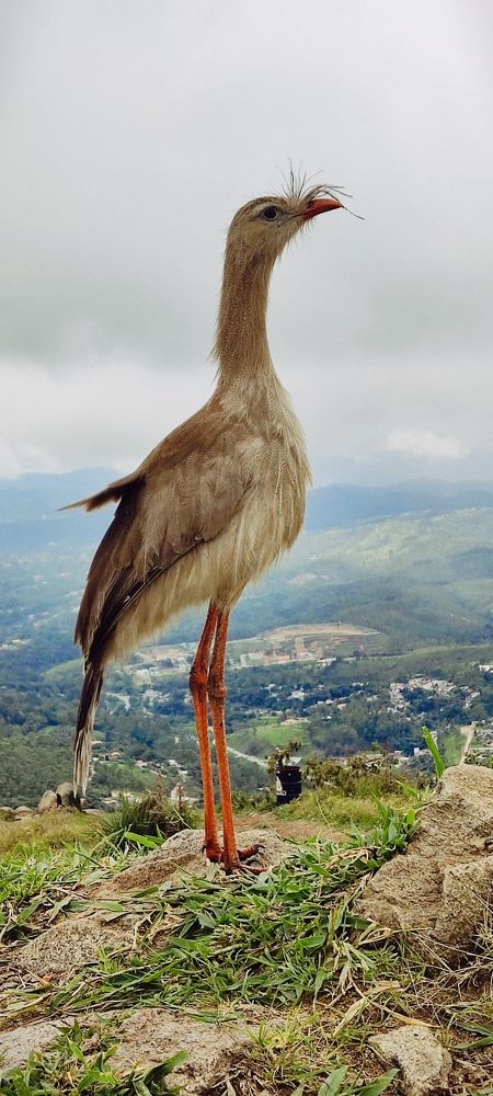 Photograph by Tony Carneiro de Jesus