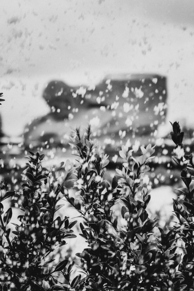 Photograph by Павел Арсенович