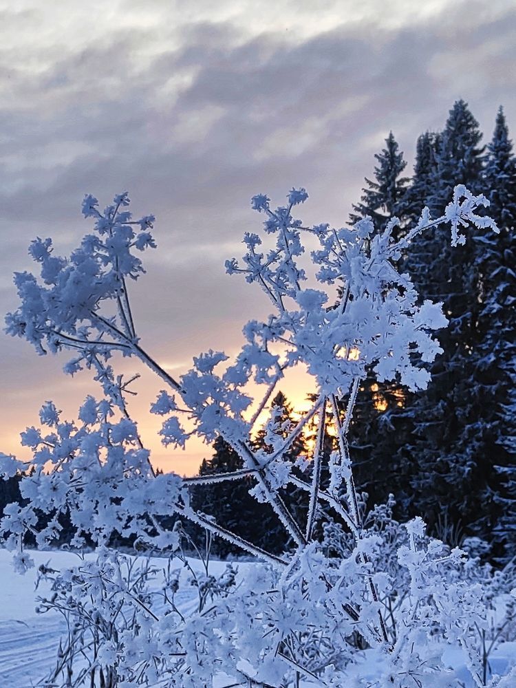 Photograph by Александр Кокурин
