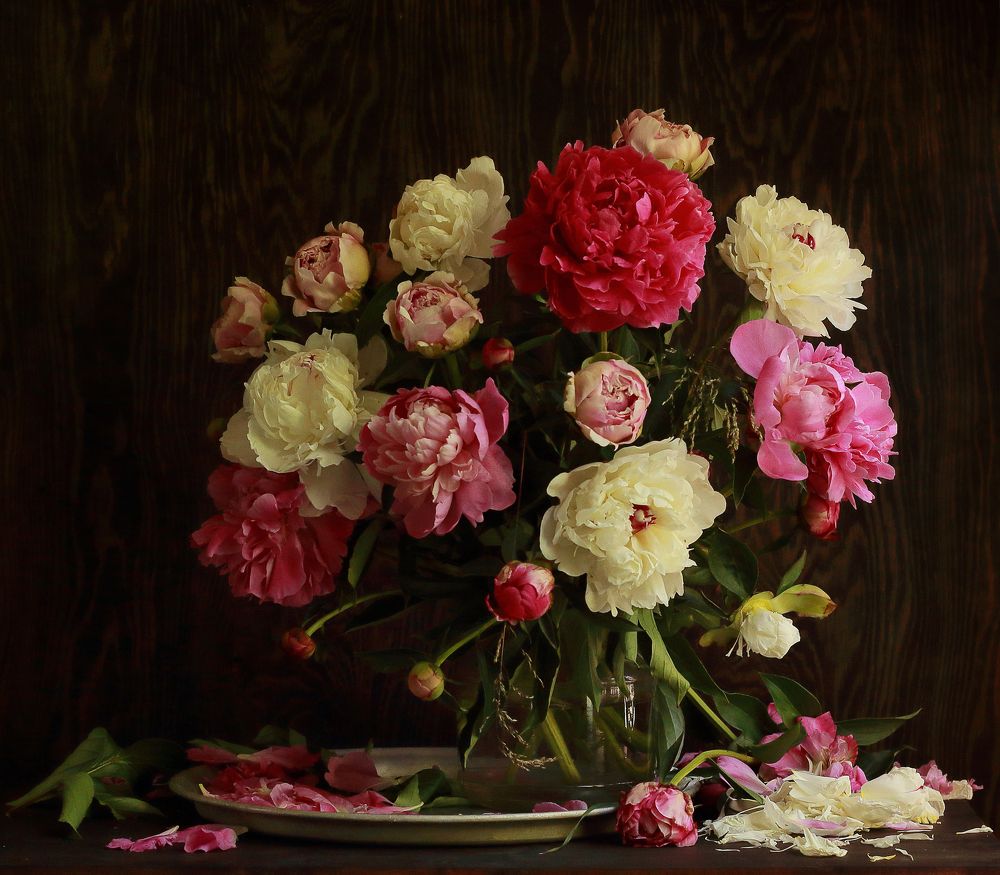 Фотография автора ТАТЬЯНА ЗАХАРОВА