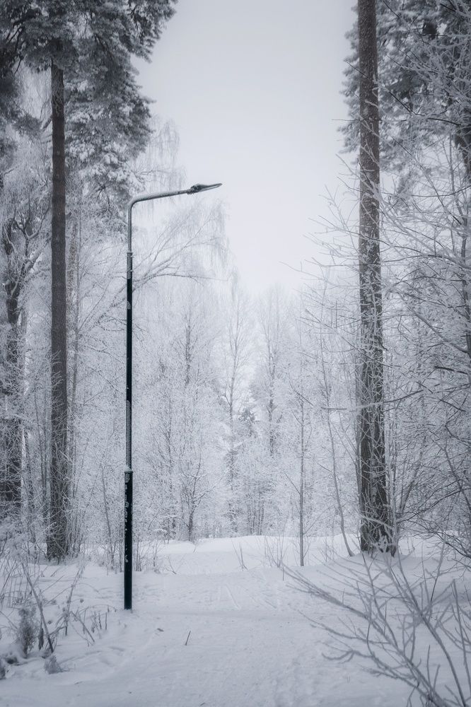 Photograph by Света Богоявленская