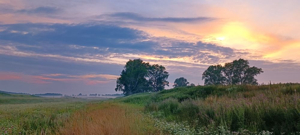 Небесный художник
