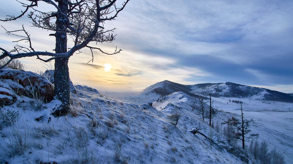 Зимний пейзаж.