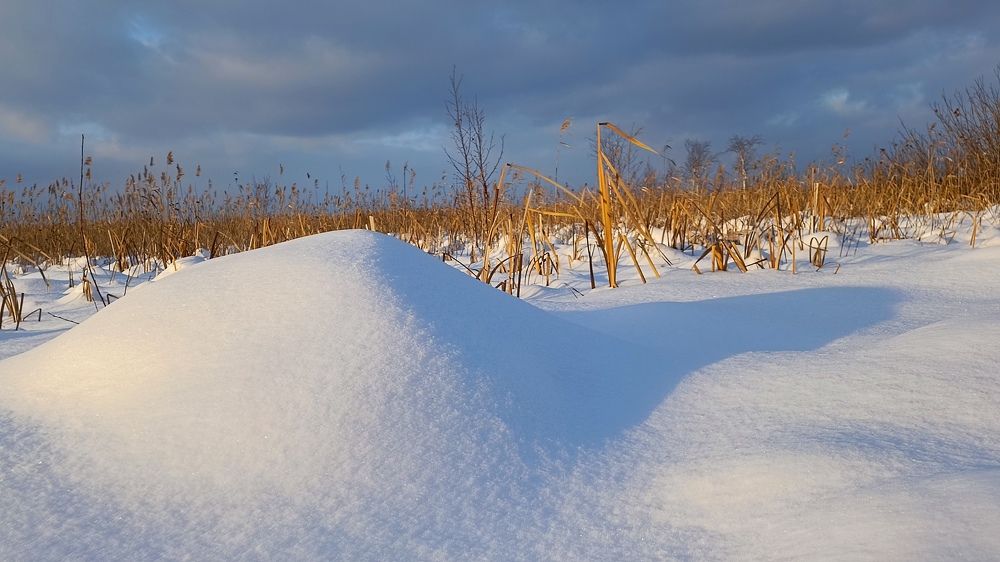 Снежные картины