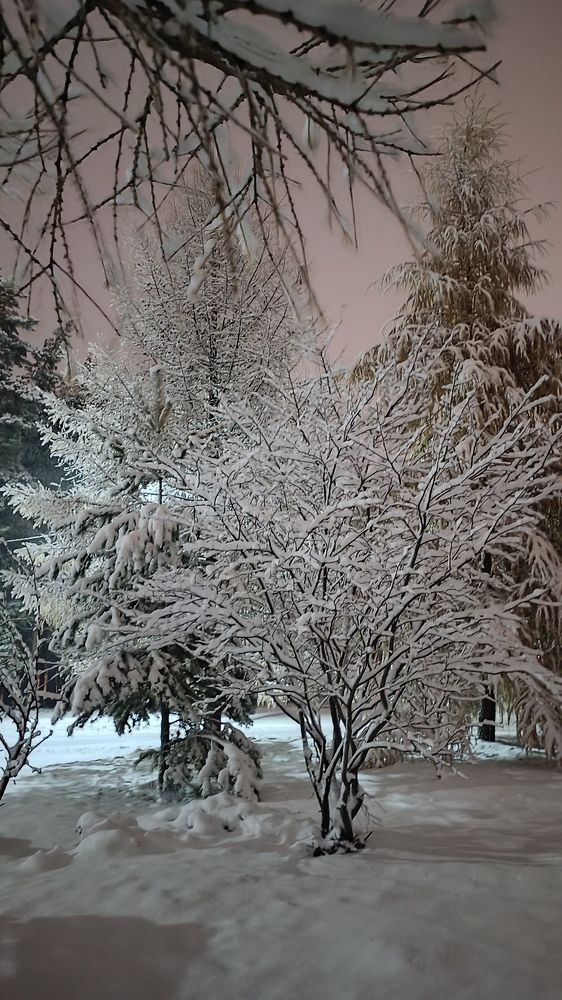 Заснеженная сказка