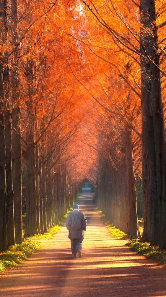 Photograph by Min  Ja Woo