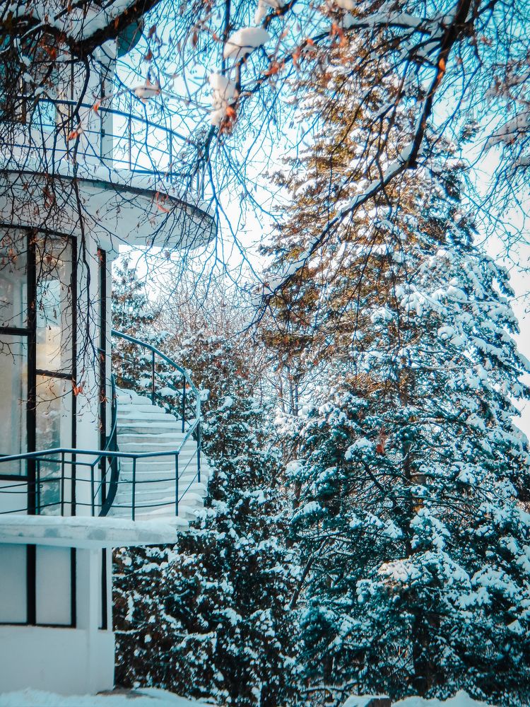 Photograph by Alexey Nuzha