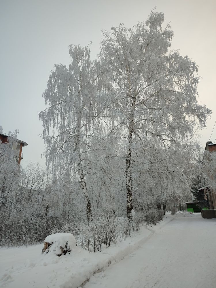 Photograph by Ольга Сафонова