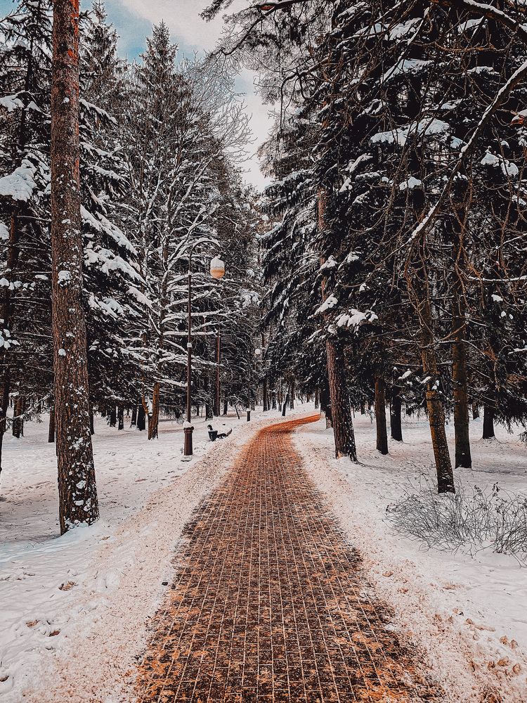 Photograph by Alexey Nuzha