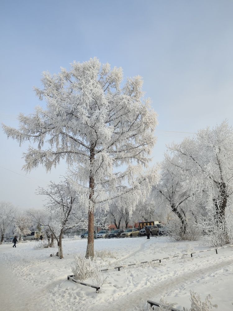 Photograph by Ольга Сафонова