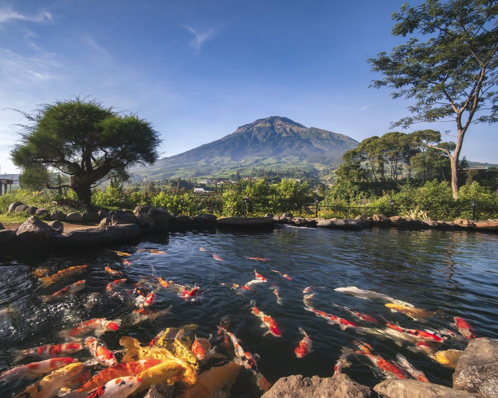 Photograph by Maria Aulia Sandjaja