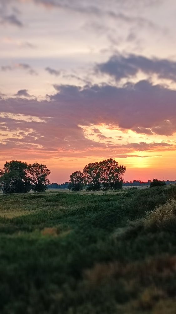 Закатное время