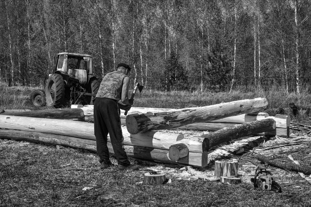 Что нам стоит дом построить