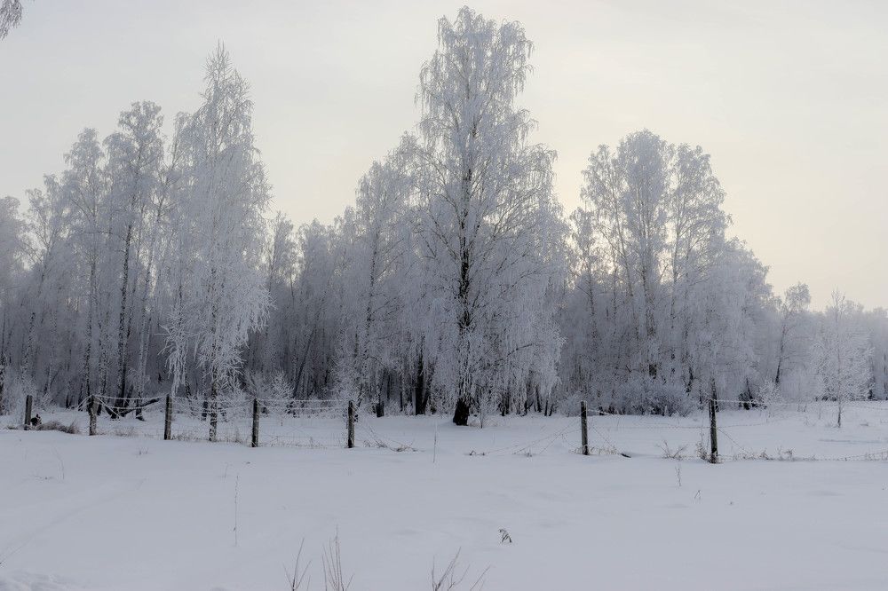 Фотография автора Олеся Юданова