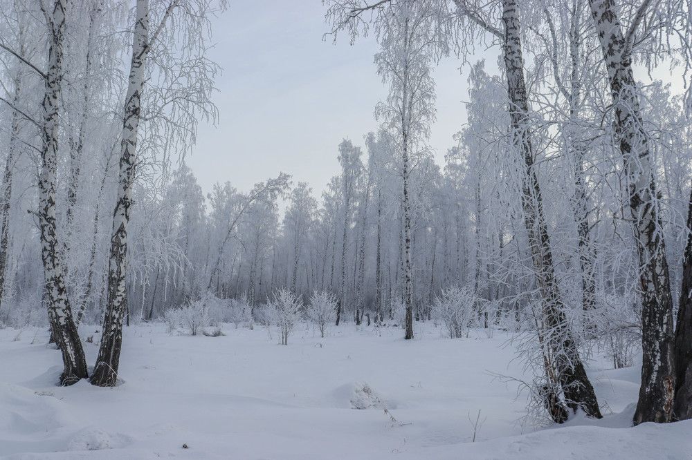Белые краски