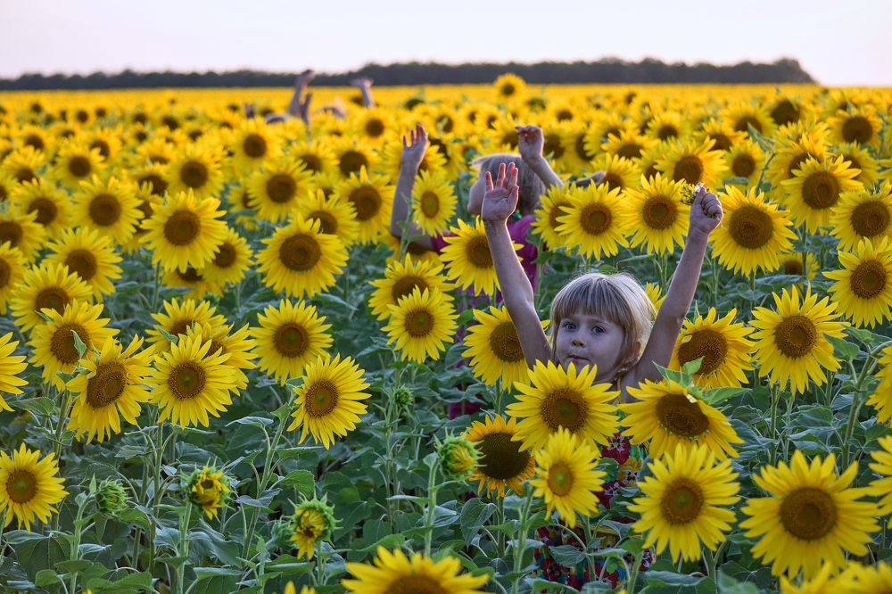 Photograph by Лариса Стрекулева