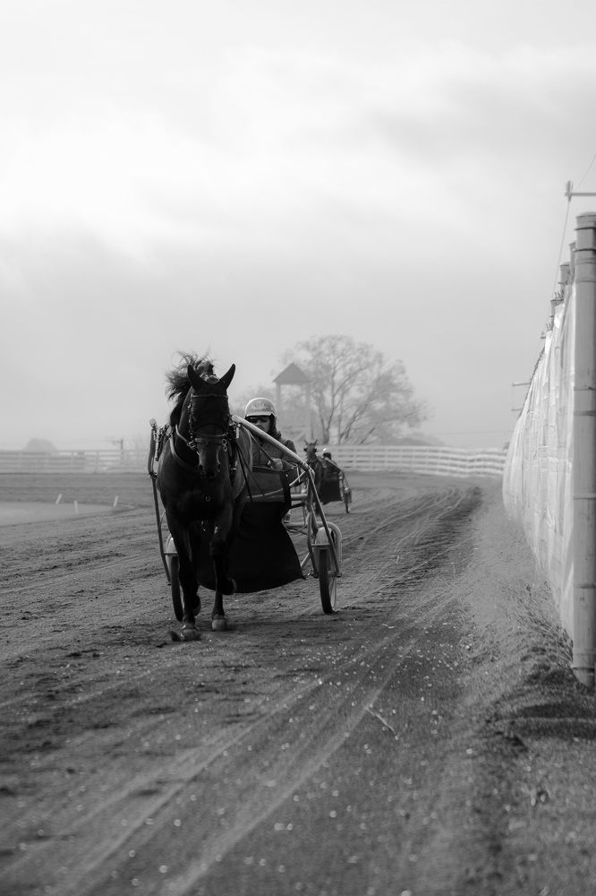 Photograph by Nicolas Bernal