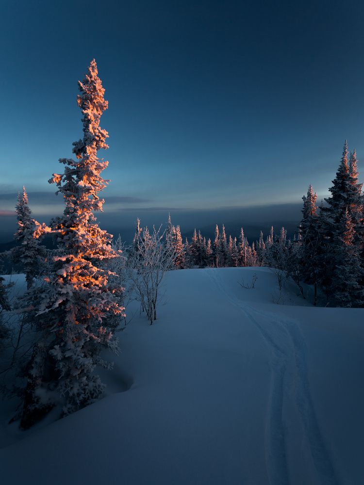 Photograph by Сергей Андреев