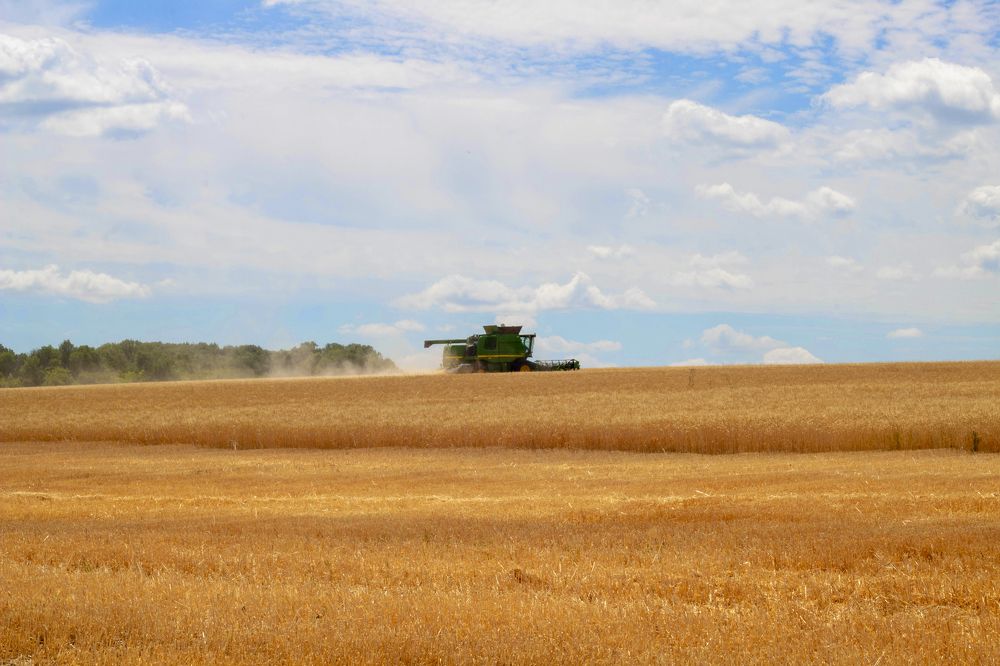 Photograph by Мари Полищук