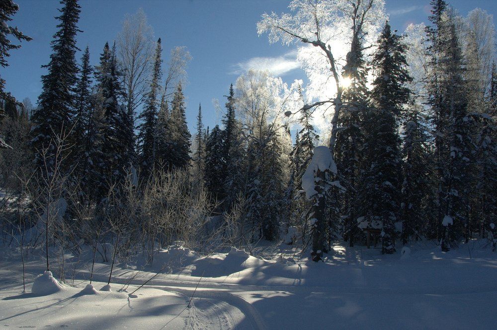 Photograph by Александр Исаченко