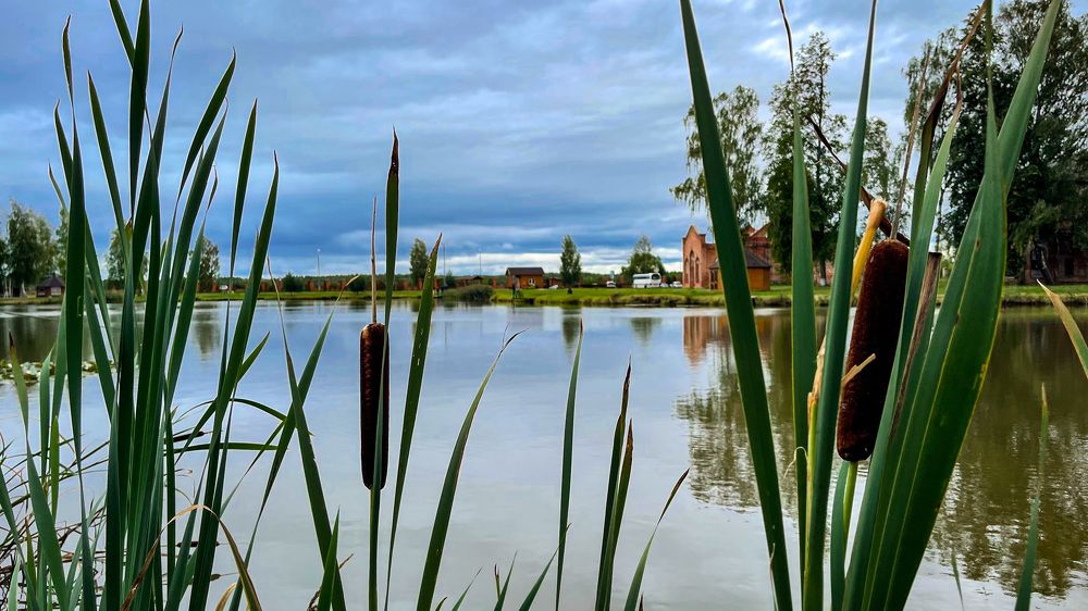 Фотография автора Евгений Кузнецов