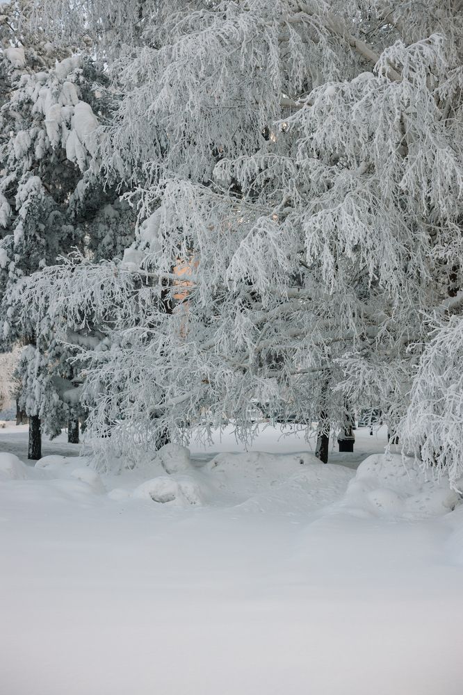 Фотография автора Evgeniya Nefyodova