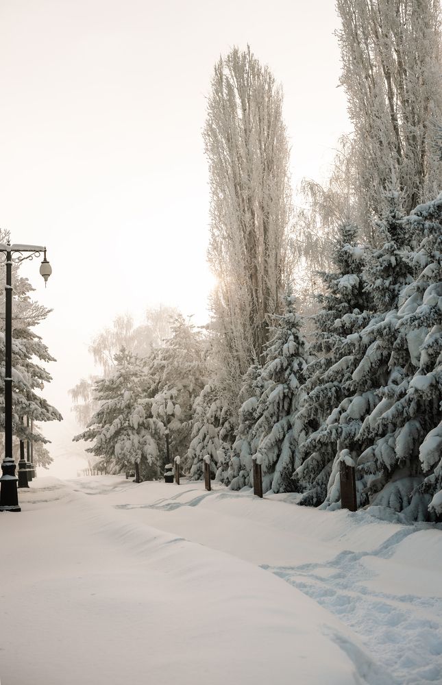 Фотография автора Evgeniya Nefyodova