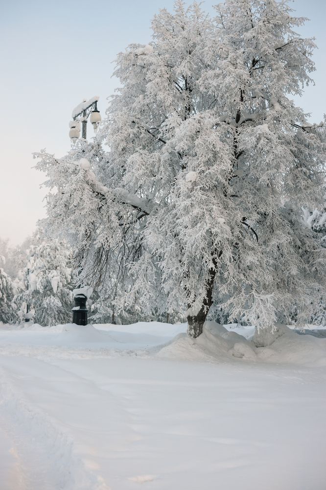 Фотография автора Evgeniya Nefyodova