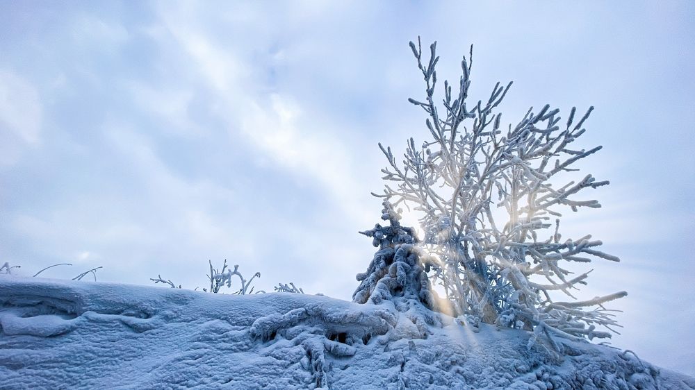 Фотография автора Евгений Кузнецов