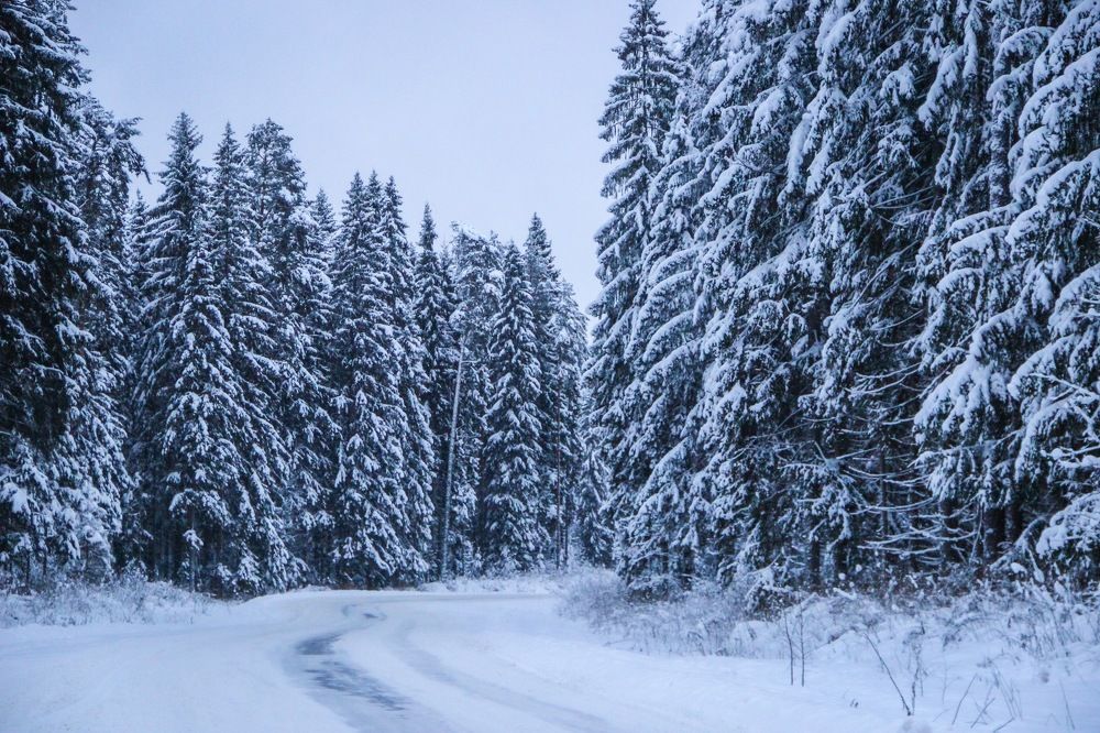 Фотография автора Евгений Кузнецов